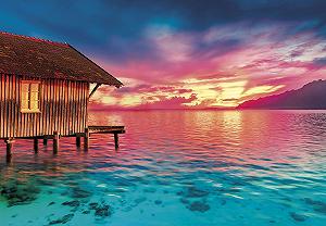 Пазл Clementoni Peace Puzzle Living The Present 35120 500 елементів synthetic.ua - Фото 1