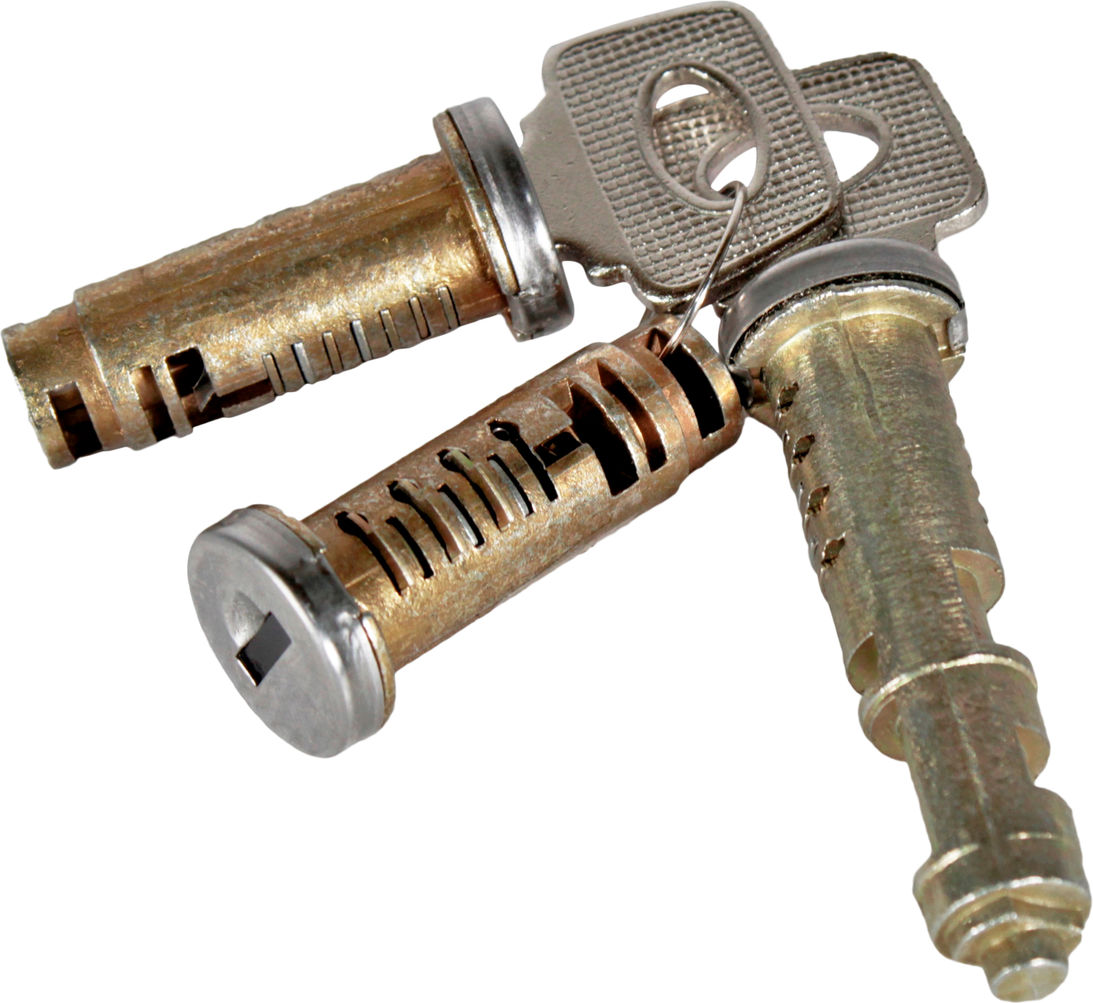 Личинки дверок 2110 Ароки, фото №1