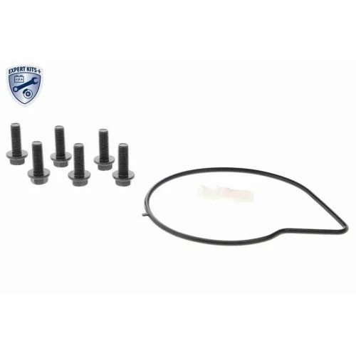 Водяной насос системы охлаждения двигателя VAICO EXPERT KITS + V48-50004 для VOLVO LAND ROVER, фото №2