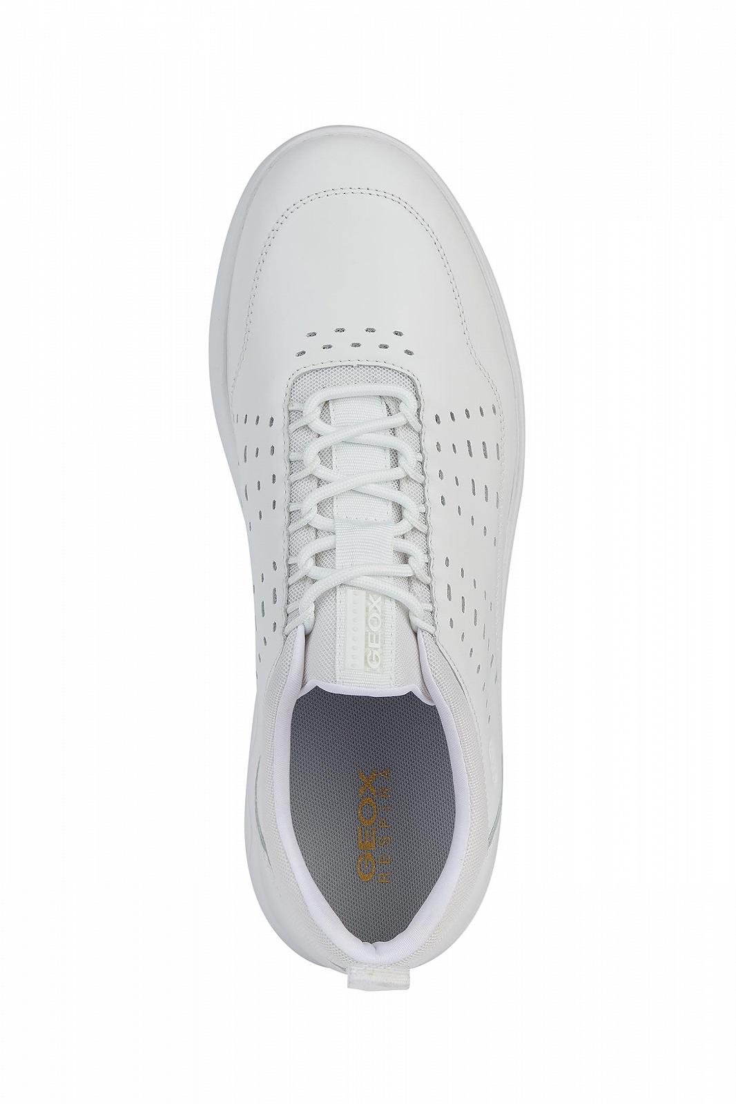 Кросівки Geox Spherica Чоловічі, фото №7 Кросівки Geox Spherica Чоловічі, фото №7