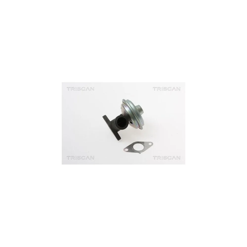 Клапан EGR TRISCAN 8813 28017 для CITROËN PEUGEOT, фото №1