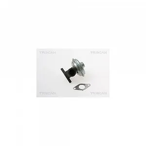 Клапан EGR TRISCAN 8813 28017 для CITROËN PEUGEOT - Фото 1