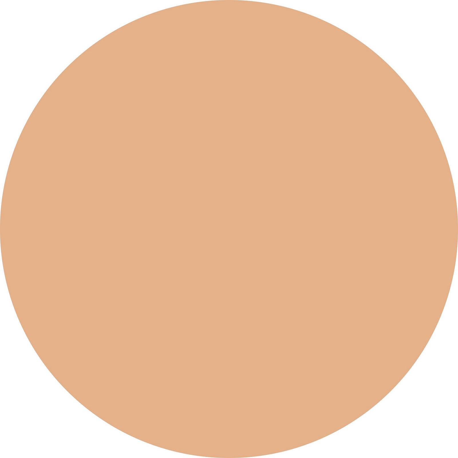 Тональный крем WYCON cosmetics Skin Idol Liquid Foundation Liquid Long Lasting NW20, фото №5 Тональный крем WYCON cosmetics Skin Idol Liquid Foundation Liquid Long Lasting NW20, фото №5