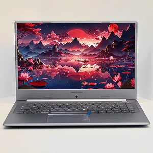 Ноутбук 15.6'' Medion (Lenovo Group) Akoya P15646 | Intel Core i5-8265U | IPS (1920x1080) FullHD | RAM 8 ГБ | SSD 256 ГБ | Nvidia GeForce MX250 | Intel UHD Graphics 620 | Металевий корпус | Win11 (4967) - Фото 1