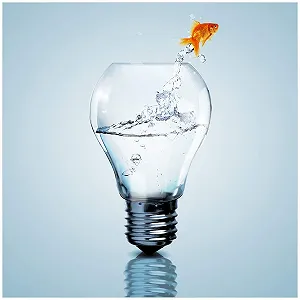 Скляна картина Wallario Goldfish Jumping Out of Aquarium 55 x 55 см Ефект паріння Яскраві кольори - Фото 1