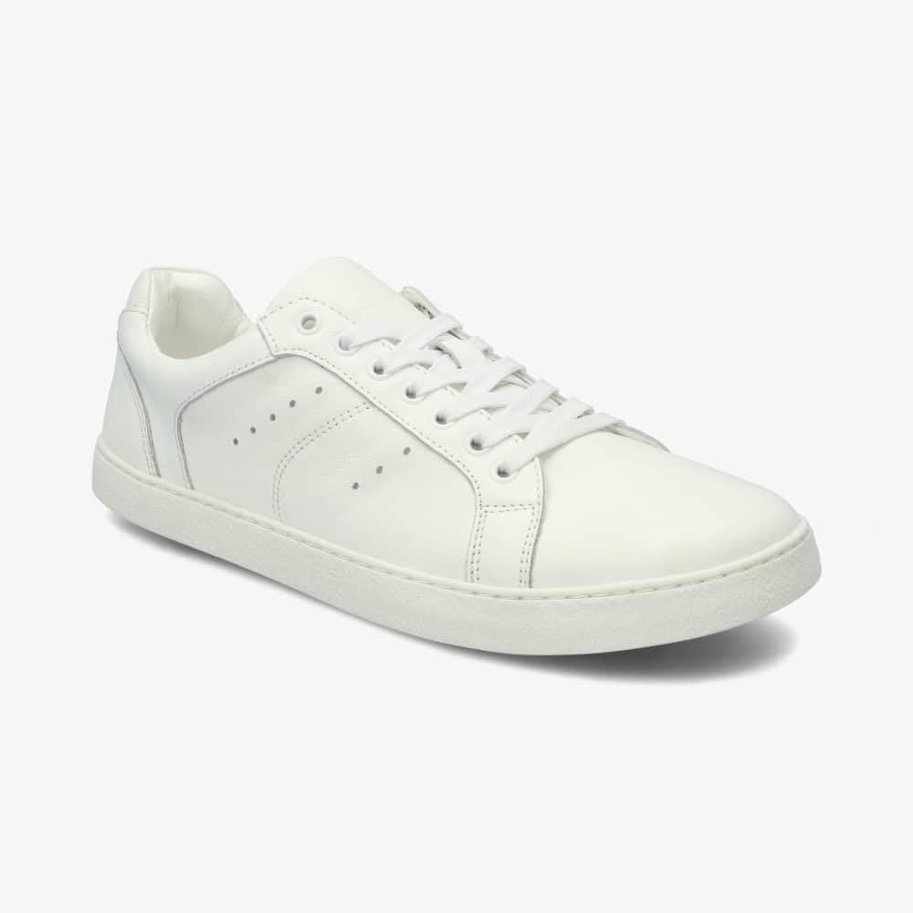 GROUNDIES Adult Master-Artikel Universe sonstige, фото №6