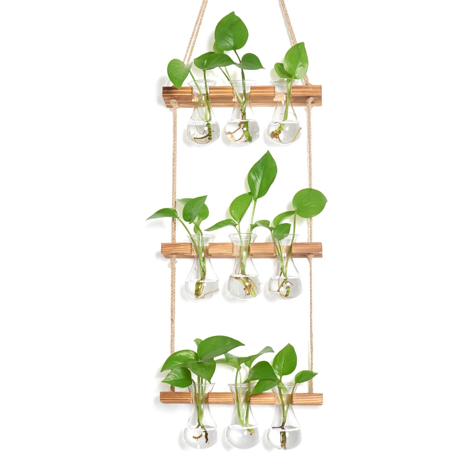 Станція для розмноження рослин XXXFLOWER Small Teardrop 3-рівнева з 9 скляними вазами та сосновою підставкою Прозорий/Натуральне дерево, фото №1