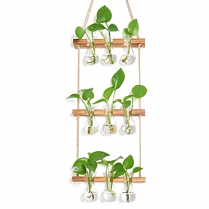 Купить Станция для размножения растений XXXFLOWER Small Teardrop 3-уровневая с 9 стеклянными вазами и сосновой подставкой Прозрачный/Натуральное дерево - Фото 1 Станция для размножения растений XXXFLOWER Small Teardrop 3-уровневая с 9 стеклянными вазами и сосновой подставкой Прозрачный/Натуральное дерево - Фото 1
