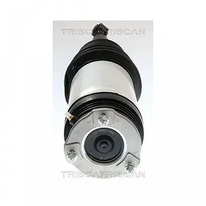 Пневматична пружина підвіски TRISCAN 8720 81203 Задня вісь, обидві сторони synthetic.ua - Фото 1