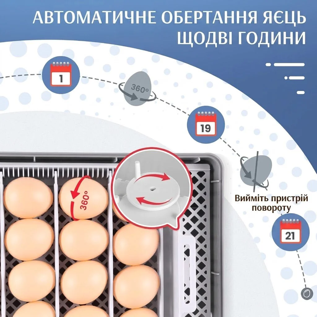 Инкубатор автоматический Sailnovo на 20 яиц / Белый, фото №3