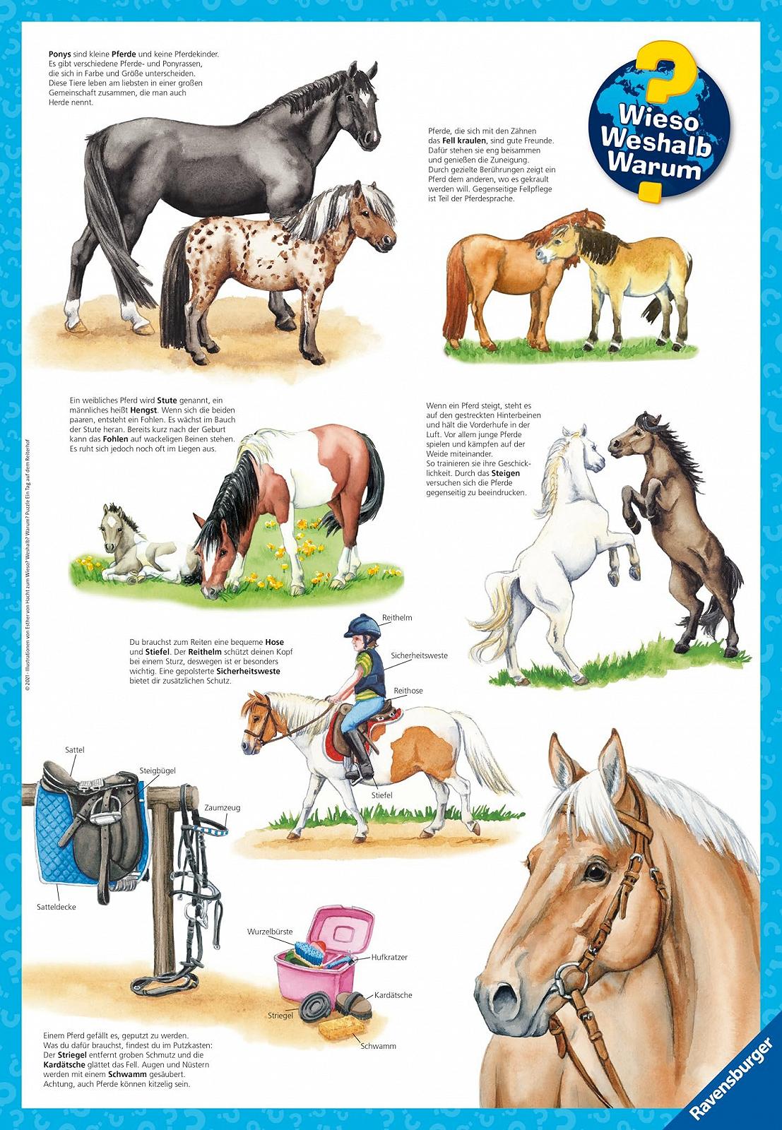 Дитячий пазл Ravensburger Wieso? Weshalb? Warum? 05129 Один день на кінній фермі 3 x 49 елементів від 5 років, фото №8