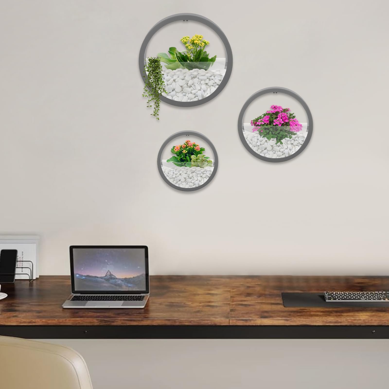 Настінні квіткові горщики 3 шт. Круглі ABS Сірий, фото №8 Настінні квіткові горщики 3 шт. Круглі ABS Сірий, фото №8