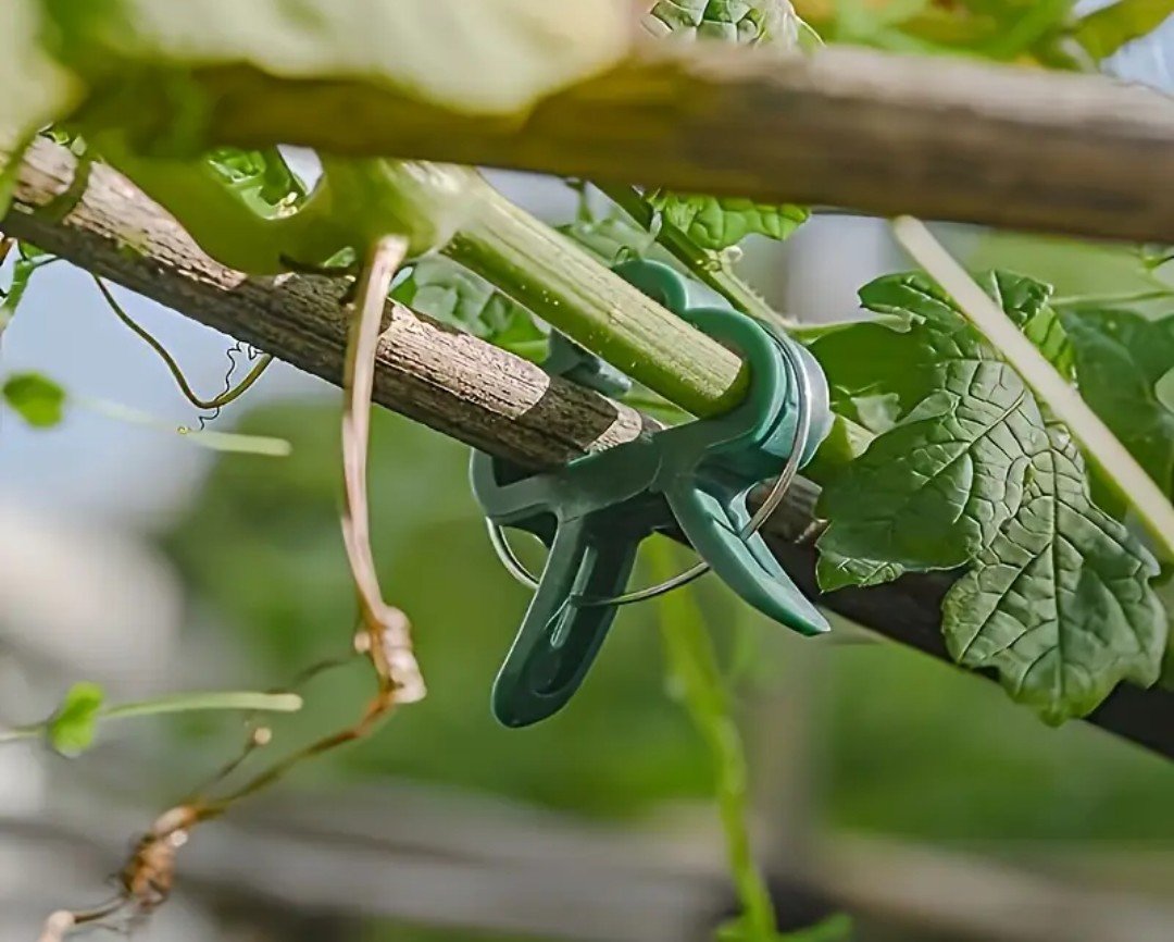 Затискачі для кріплення рослин, фото №3