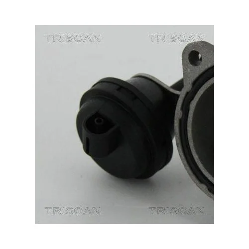 Клапан EGR TRISCAN 8813 29057 для AUDI FORD SEAT SKODA VW HITACHI, фото №2