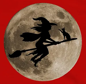 Світшот для дітей Shirtracer synthetic.ua - Фото 1