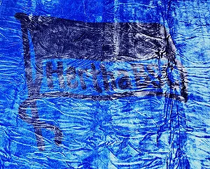 Покривало Sherpa Hertha BSC Berlin Блакитна 150 x 200 см synthetic.ua - Фото 1