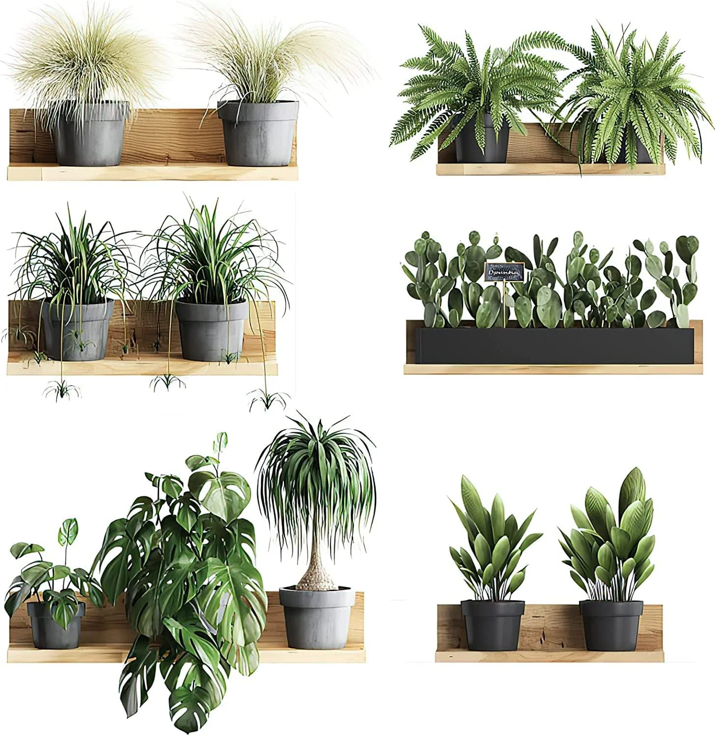 Наклейка на стіну 3D Бонсай в горщику PVC, фото №1