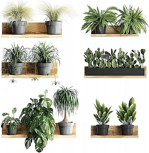 Наклейка на стіну 3D Бонсай в горщику PVC - Фото 1