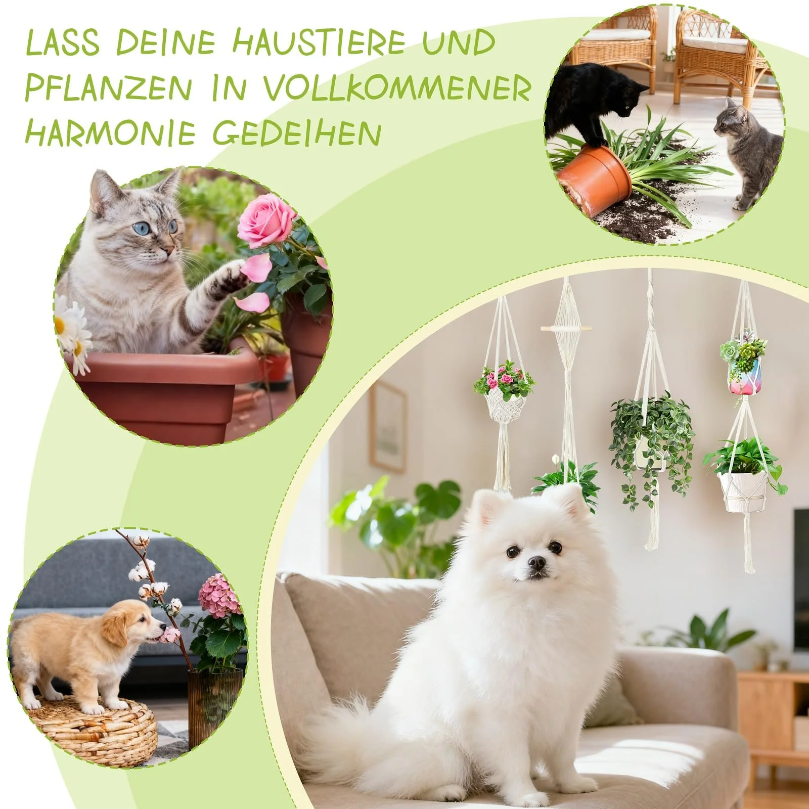 Підвісні кошики макраме з бавовняного каната в стилі бохо з гачками набір із 4 шт. білі, фото №5 Підвісні кошики макраме з бавовняного каната в стилі бохо з гачками набір із 4 шт. білі, фото №5