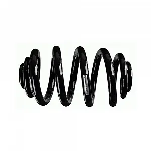 Купити Пружина підвіски SACHS для BMW, задня вісь - Фото 1 Пружина підвіски SACHS для BMW, задня вісь - Фото 1