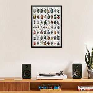 Пазл Vintage Collection Різні жуки 1000 деталей 50 x 70 см synthetic.ua - Фото 1