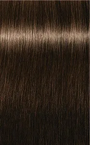 Купити Стійка Фарба Indola Ageless 60 мл 7.03+ - Фото 1 Стійка Фарба Indola Ageless 60 мл 7.03+ - Фото 1