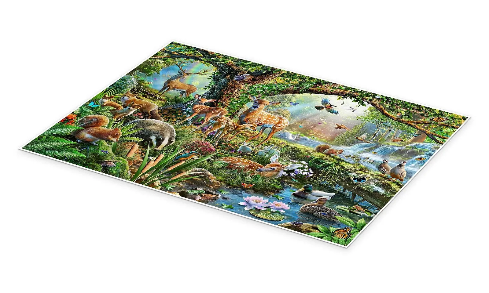 Постер Adrian Chesterman Forest Animals 40 x 30 см, фото №2