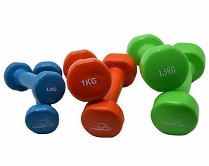 Набір гантелей в кейсі 6 кг PowerPlay 4103 Fitness Dumbells (2шт.*0,5кг. 2шт.*1кг. 2шт.*1,5кг.) synthetic.ua - Фото 1