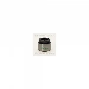 Поршень тормозного суппорта TRISCAN 8170 233624, для автомобилей со спортпакетом - Фото 1