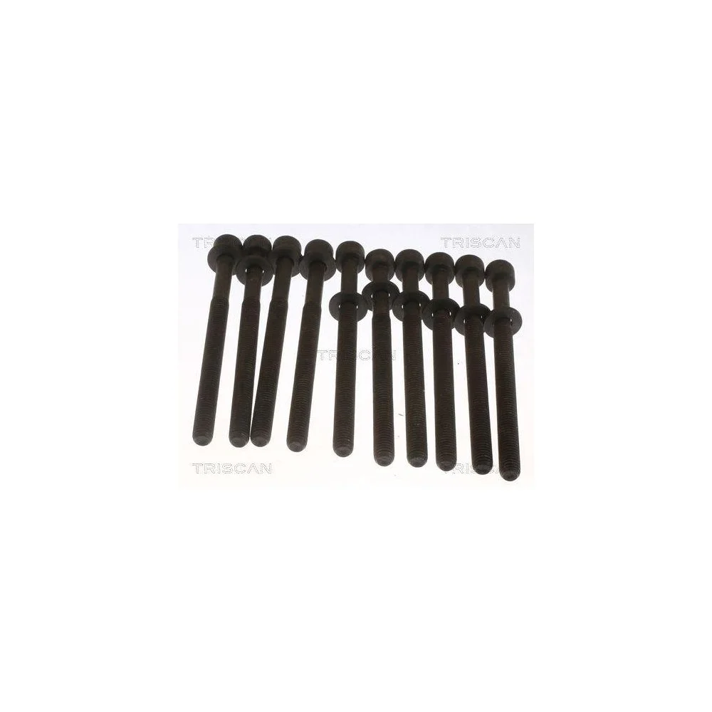 Комплект болтов головки блока цилиндров TRISCAN 98-1020 для HYUNDAI, фото №1