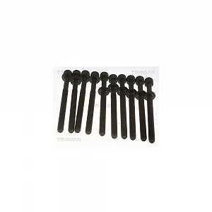 Комплект болтов головки блока цилиндров TRISCAN 98-1020 для HYUNDAI - Фото 1