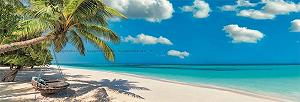 Пазл Clementoni Panoramic Tropical Beach with Palm Tree Swinging By The Ocean 1000 элементов 98 x 33 см synthetic.ua - Фото 1