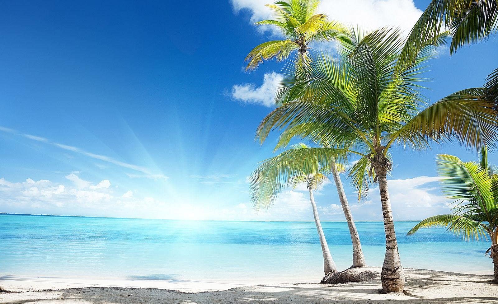 Фотообои Beach 254 x 184 см флизелиновые 3D эффект с клеем, фото №1 Фотообои Beach 254 x 184 см флизелиновые 3D эффект с клеем, фото №1