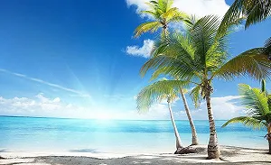 Фотообои Beach 254 x 184 см флизелиновые 3D эффект с клеем - Фото 1