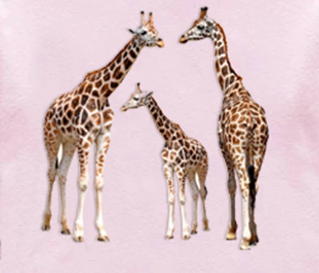 Піжама Babylike для дівчаток, одяг для сну, 100% бавовна, для малюків та дітей, фото №3