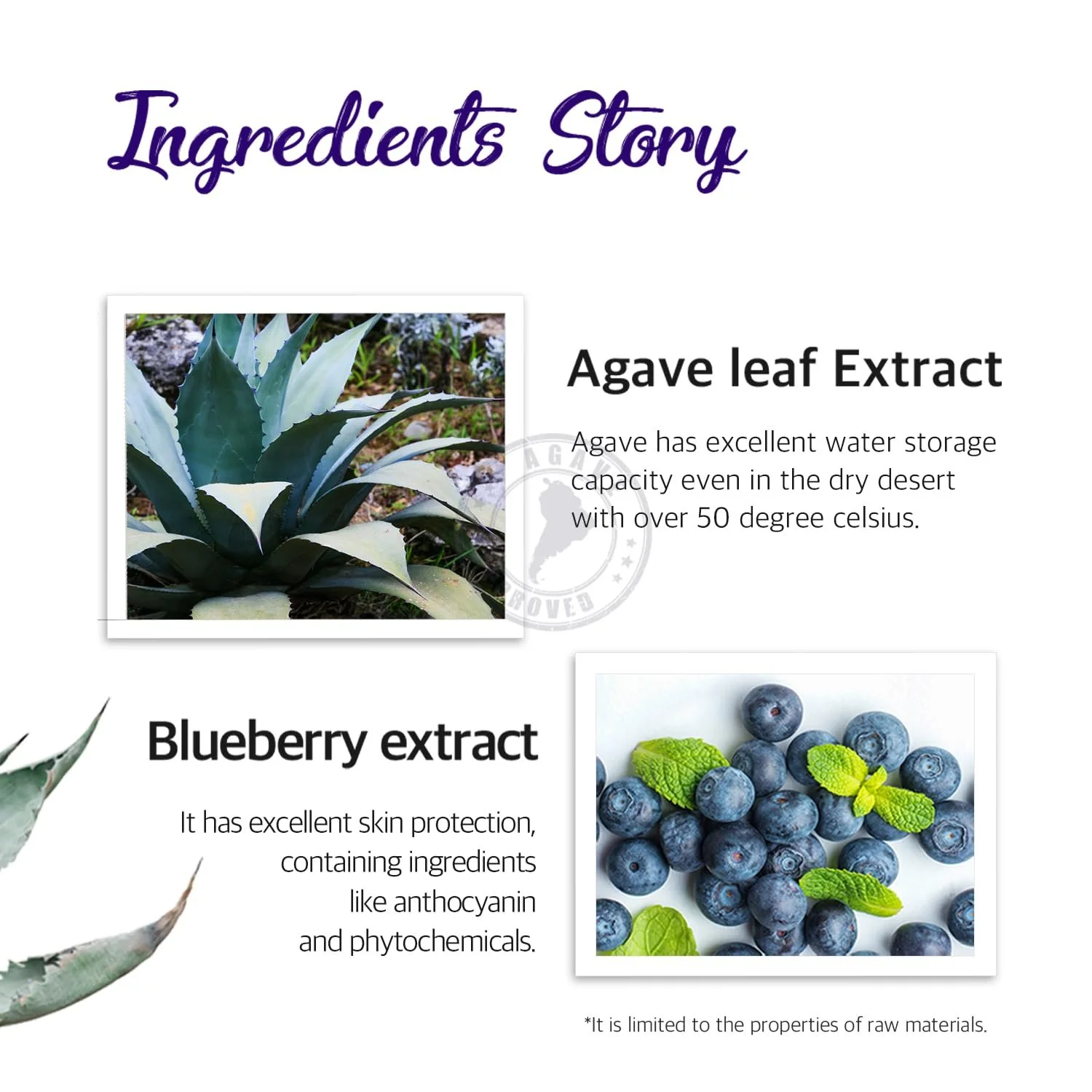 Гідрогелева маска для обличчя Petitfee Agave Cooling (5), фото №3