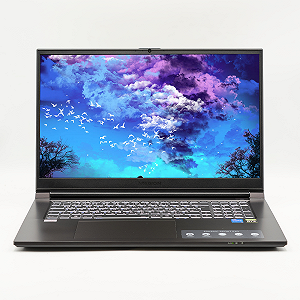 Ігровий ноутбук 17,3" Medion (Lenvo Group) Erazer Scout E10 Intel Core i5-12500H RAM 16 ГБ SSD 1 ТБ Nvidia GeForce RTX 3050 Win10 (4528) - Фото 1