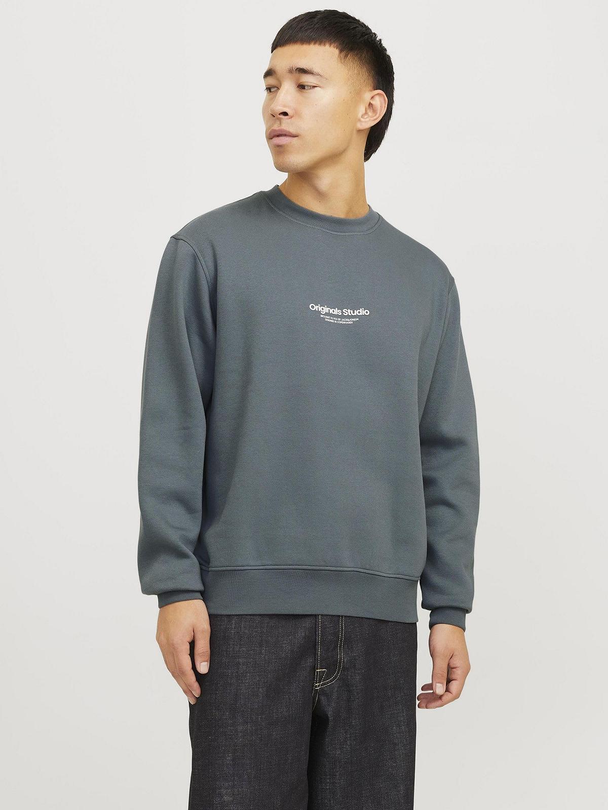 Світшот JACK & JONES Jorvesterbro Crew Neck Noos Чоловічий, фото №3