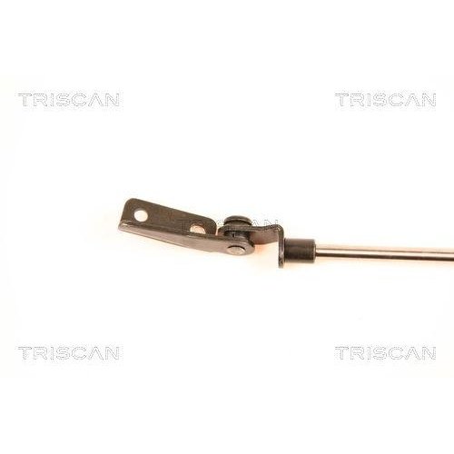 Газлифт багажника TRISCAN 8710 14233 для NISSAN, левый, фото №2