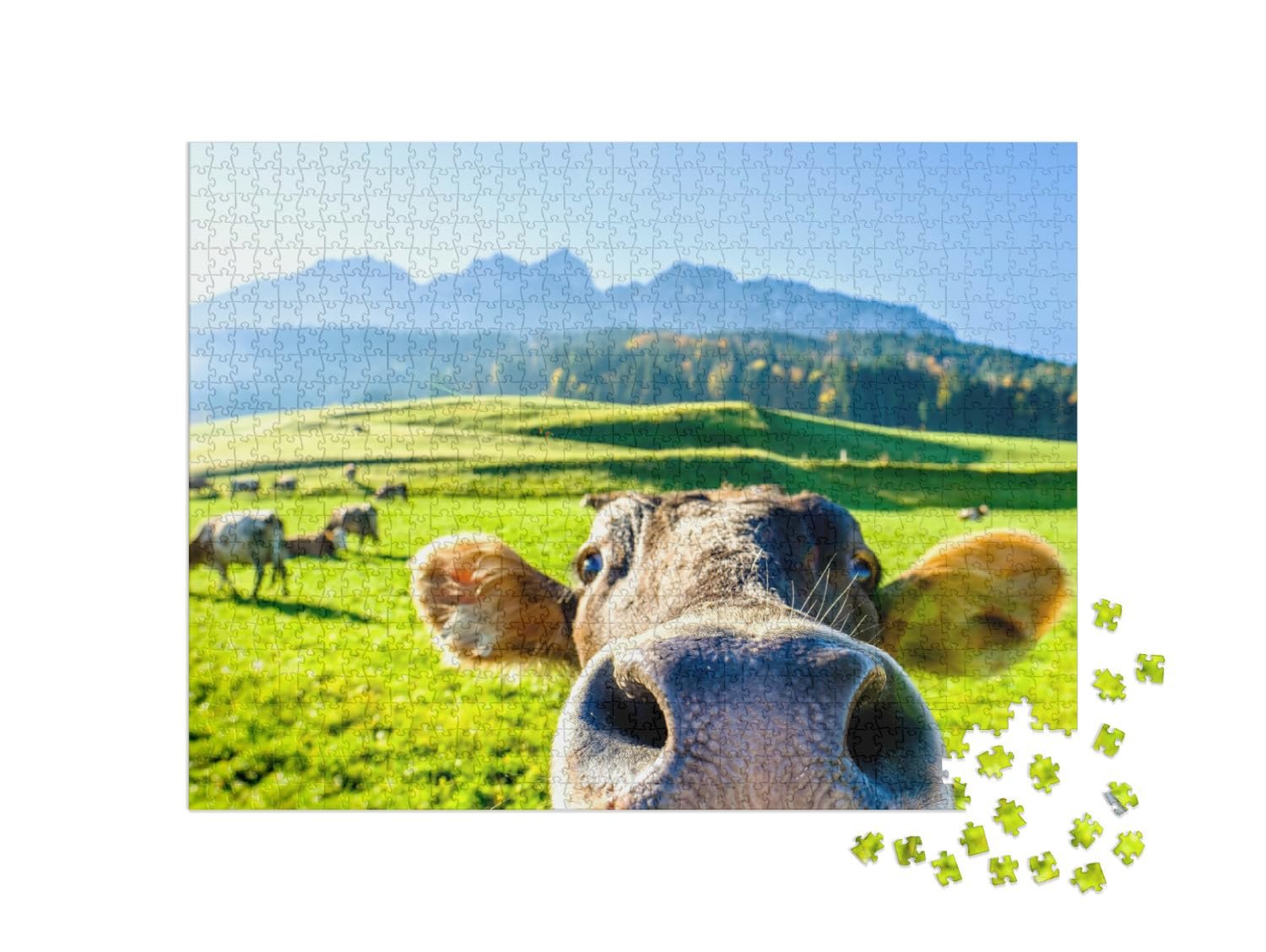 Пазл puzzleYOU Animals, Cows & Calves Puzzle Collection "Любопытная корова" 1000 элементов, фото №2
