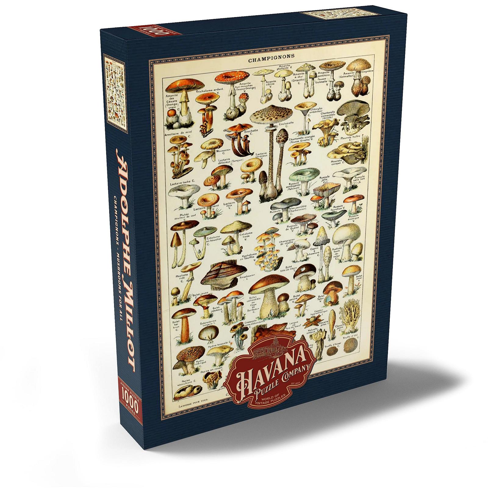 Пазл MyPuzzle Havana Puzzle Company Champignons 1000 элементов 68 x 48 см, фото №2 Пазл MyPuzzle Havana Puzzle Company Champignons 1000 элементов 68 x 48 см, фото №2