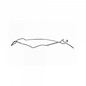 Топливная трубка VAICO V21-0109 RENAULT DACIA - Фото 1