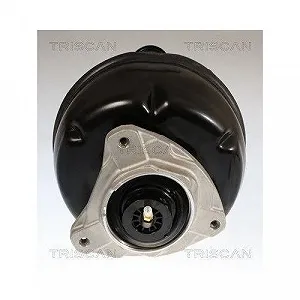 Пружина подвески TRISCAN для MERCEDES-BENZ, задняя ось synthetic.ua - Фото 1