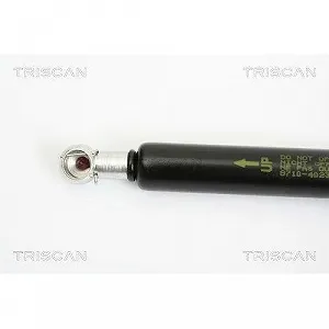 Газовая пружина багажника TRISCAN 8710 40230 для HONDA сзади слева synthetic.ua - Фото 1