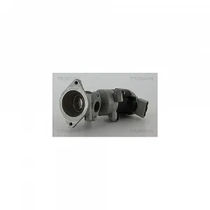 Клапан EGR TRISCAN 8813 17020 для LAND ROVER, лівий - Фото 1