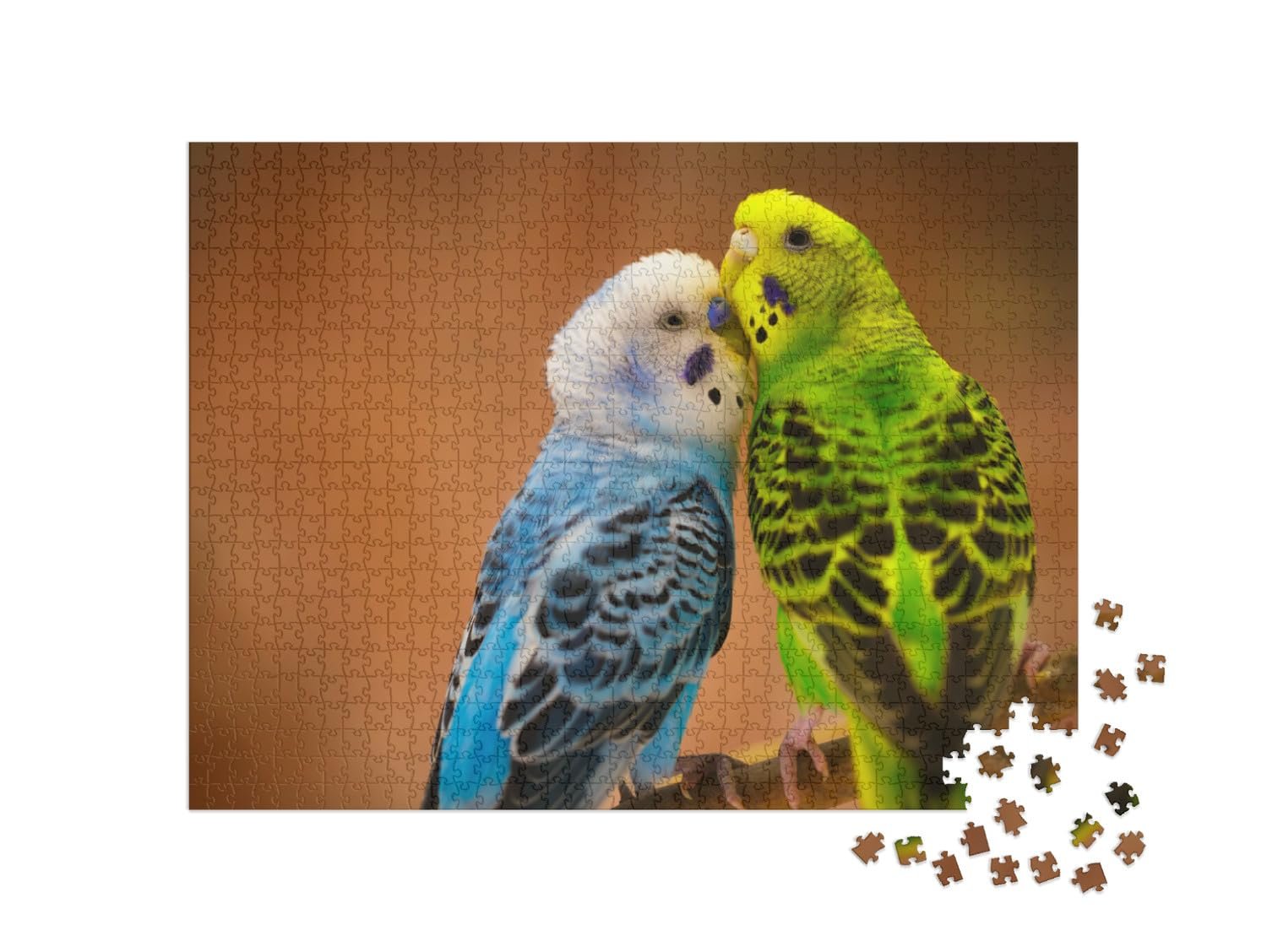 Пазл puzzleYOU Birds Budgies Puzzle Collection 1000 элементов "Голубо-белый и желто-зеленый волнистые попугаи на ветке на размытом фоне", фото №2