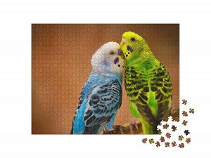 Пазл puzzleYOU Birds Budgies Puzzle Collection 1000 элементов "Голубо-белый и желто-зеленый волнистые попугаи на ветке на размытом фоне" synthetic.ua - Фото 1