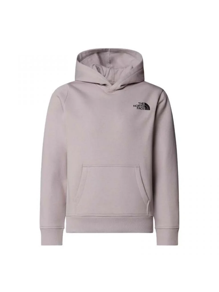 Худі The North Face Unisex Teen Box NSE Regular P/O, фото №1