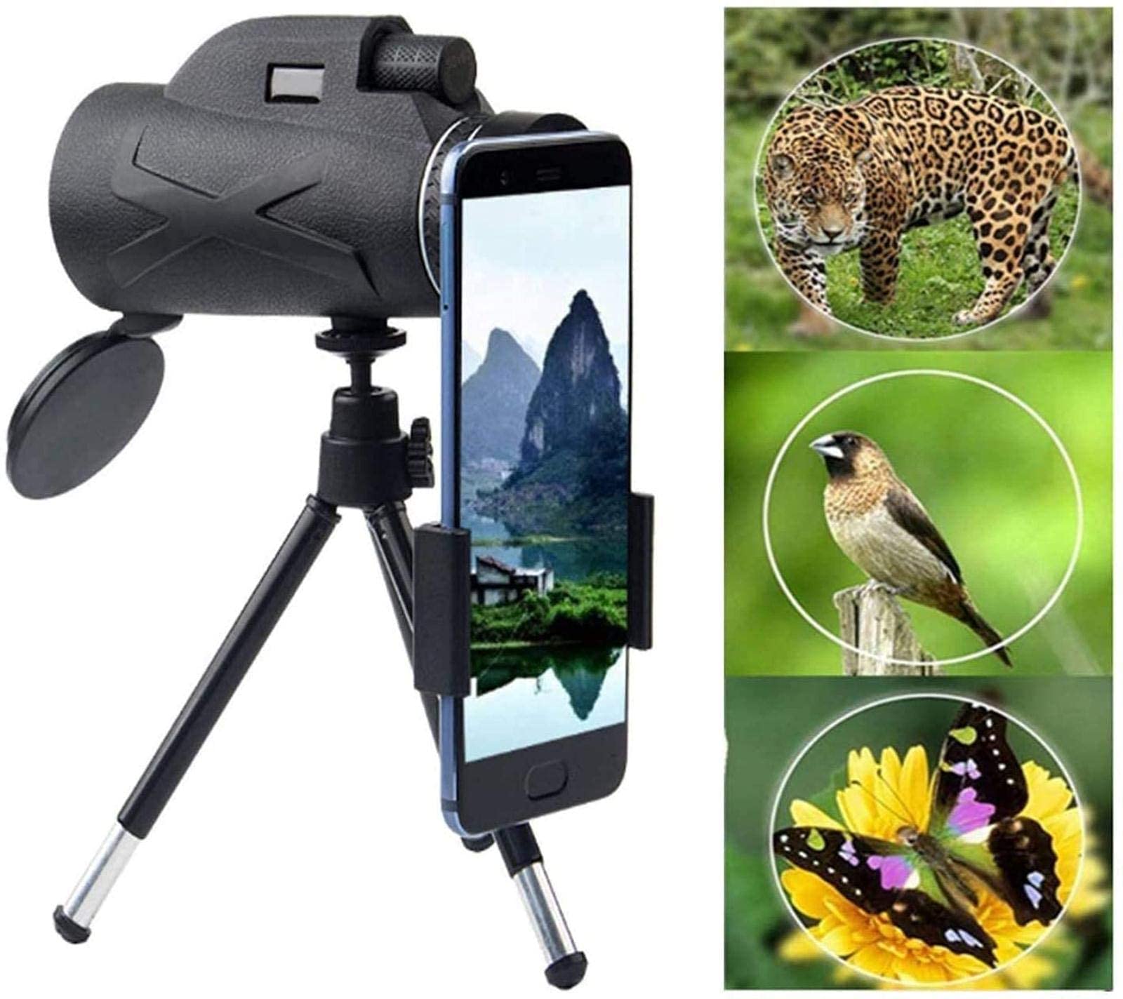 Монокуляр-Teleskop потужний 80 x 10 Dual-Focus-Zoom водонепроникний для дорослих та дітей спостереження за птахами кемпінг, фото №7