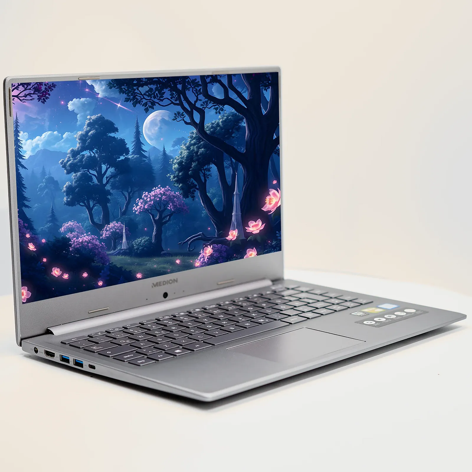 Ноутбук 15.6'' Medion (Lenovo Group) Akoya P15645 | Intel Core i7-8565U | IPS (1920x1080) FullHD | RAM 8 ГБ | SSD 256 ГБ | Nvidia GeForce MX250 | Intel UHD Graphics 620 | Металевий корпус | Win11 (4970), фото №4